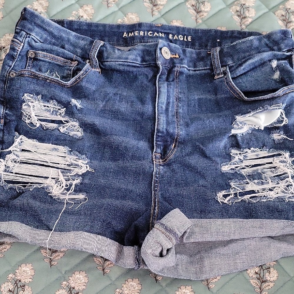American Eagle Outfitters Ripped Blue Jean Shorts